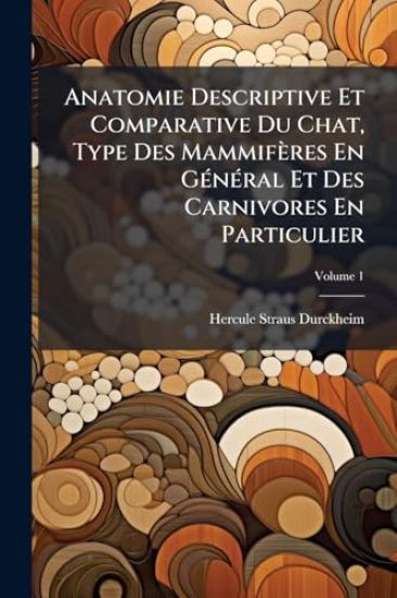 Anatomie Descriptive Et Comparative Du Chat, Type Des Mammifères En GÃ(c)nÃ(c)ral Et Des Carnivores En Particulier