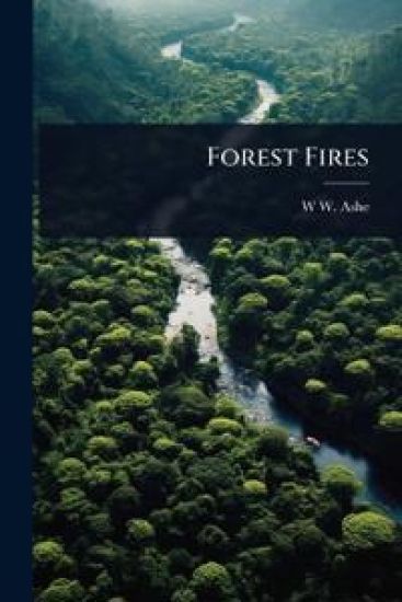 Forest Fires