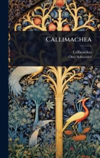 Callimachea