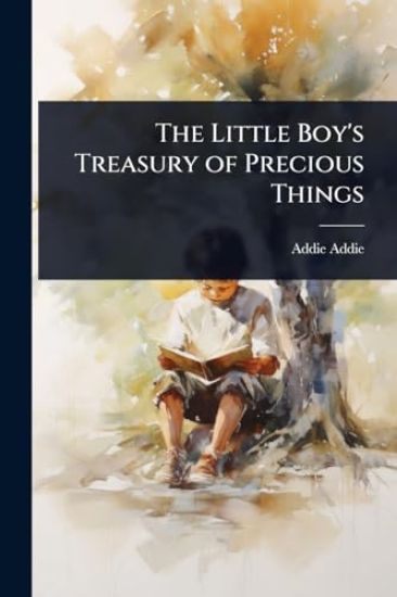 The Little Boy's Treasury of Precious Things