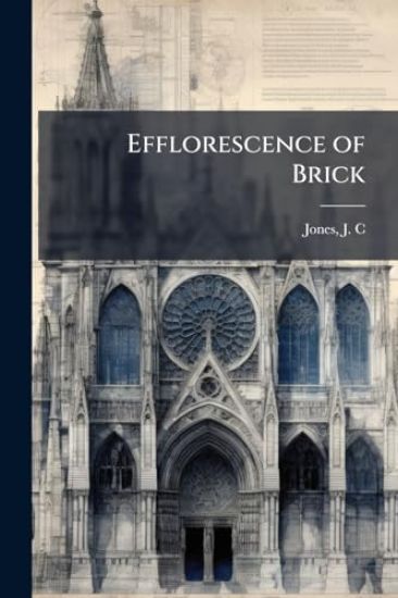 Efflorescence of Brick