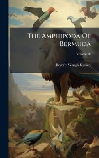 The Amphipoda Of Bermuda