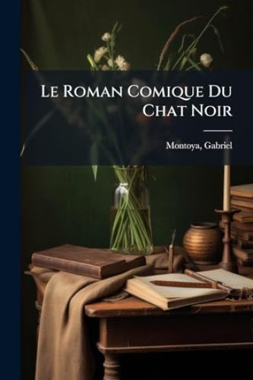 Le Roman Comique Du Chat Noir