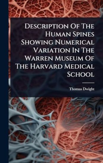 Description Of The Human Spines Showing Numerical Variation In The Warren Museum Of The Harvard Medical School