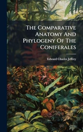 The Comparative Anatomy And Phylogeny Of The Coniferales