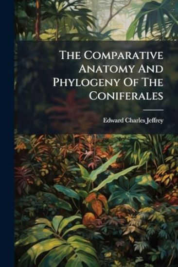 The Comparative Anatomy And Phylogeny Of The Coniferales