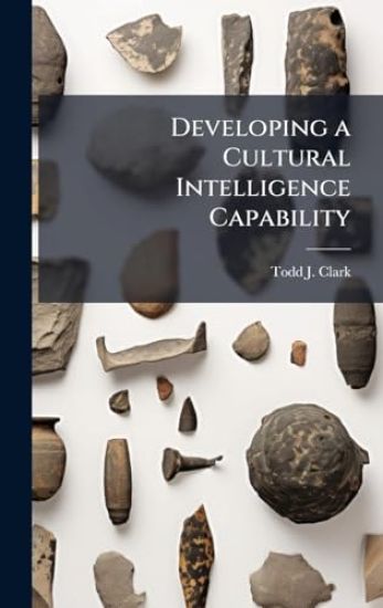 Developing a Cultural Intelligence Capability