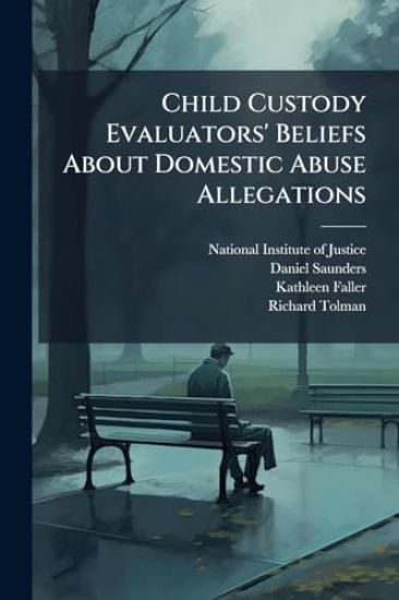 Child Custody Evaluators' Beliefs About Domestic Abuse Allegations