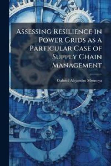 Assessing Resilience in Power Grids as a Particular Case of Supply Chain Management