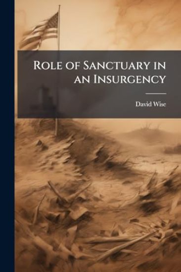 Role of Sanctuary in an Insurgency