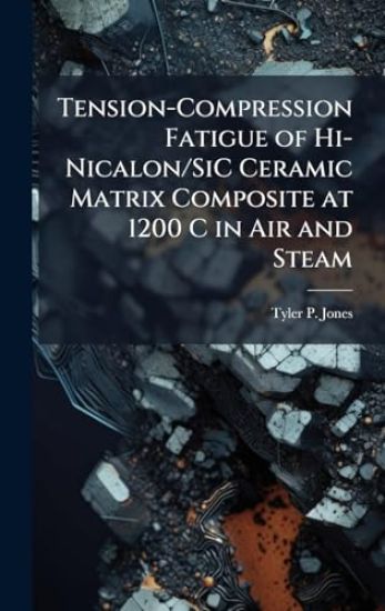 Tension-Compression Fatigue of Hi-Nicalon/SiC Ceramic Matrix Composite at 1200 C in Air and Steam