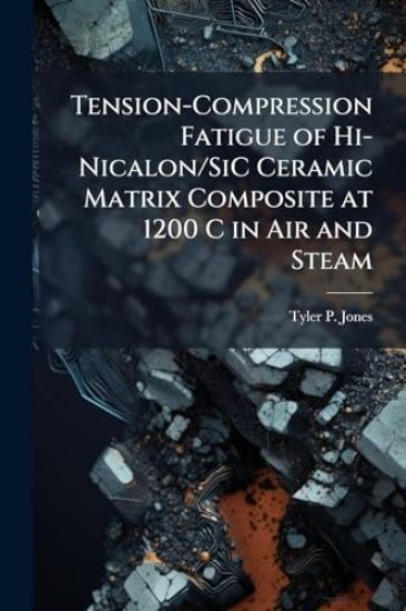 Tension-Compression Fatigue of Hi-Nicalon/SiC Ceramic Matrix Composite at 1200 C in Air and Steam