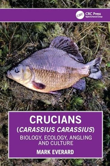 Crucians (Carassius carassius)