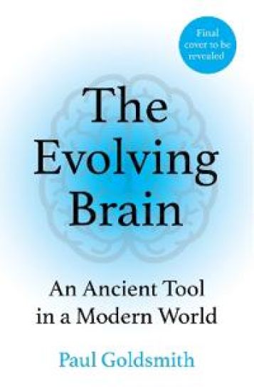 The Evolving Brain