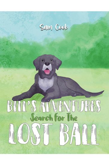 Bill’s Adventures: Search for the Lost Ball