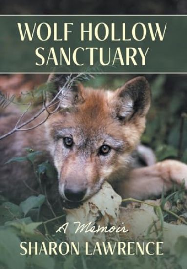 Wolf Hollow Sanctuary