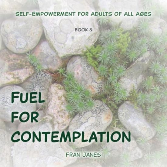 Fuel for Contemplation