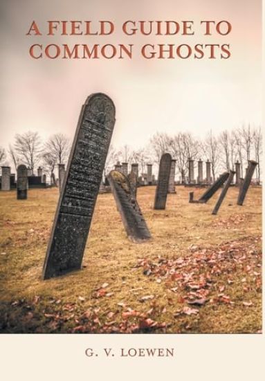 A Field Guide to Common Ghosts