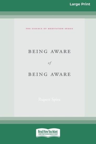 Being Aware of Being Aware (Large Print 16 Pt Edition)