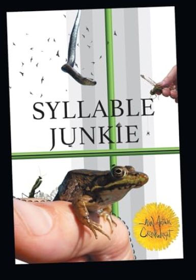 Syllable Junkie