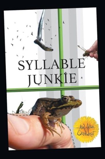 Syllable Junkie