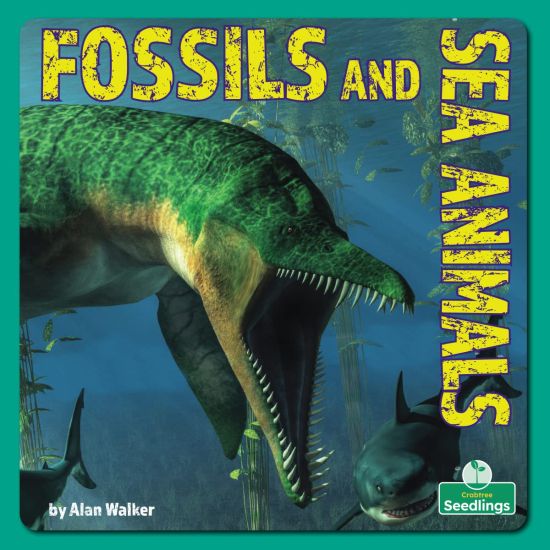 Fossils and Sea Animals