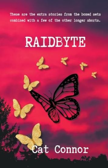 Raidbyte