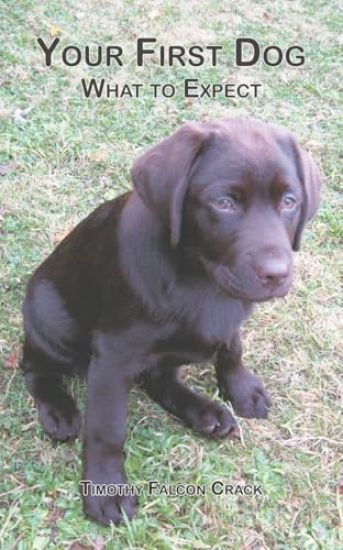 Your First Dog: What to Expect