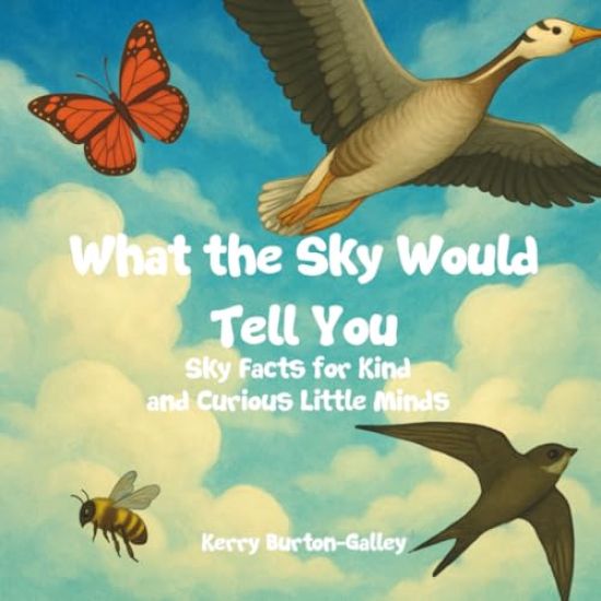 What the Sky Would Tell You