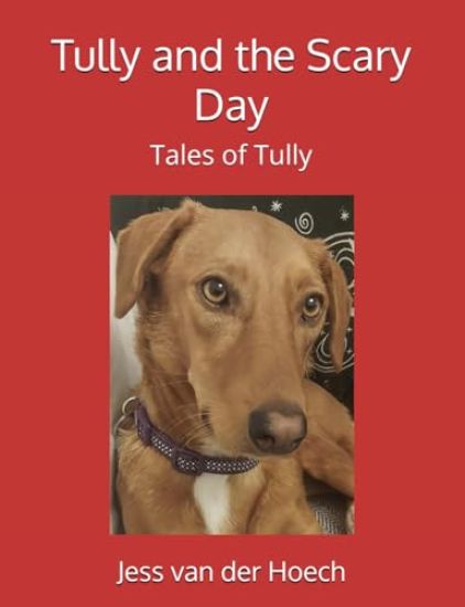 Tully and the Scary Day