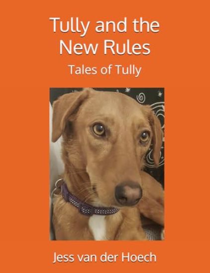 Tully and the New Rules