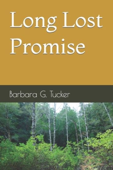 Long Lost Promise: A Scott Wallace Mystery
