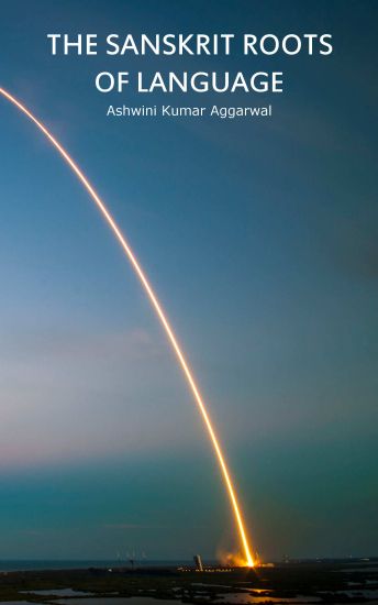 The Sanskrit Roots of Language