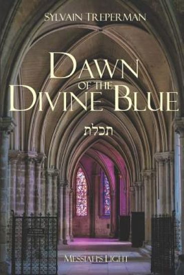 Dawn of the Divine Blue: Messiah's Light, the novel