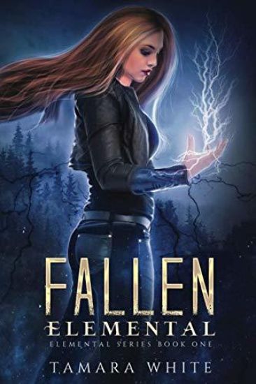 Fallen Elemental: A Reverse Harem Story