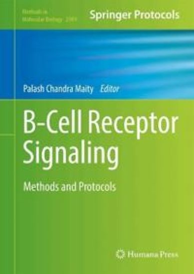 B-Cell Receptor Signaling