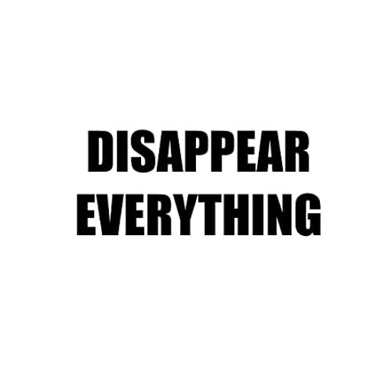 Disappear Everything