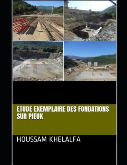 Etude exemplaire des fondations sur pieux