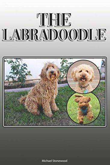 The Labradoodle: A Complete and Comprehensive Owners Guide to: Buying, Owning, Health, Grooming, Training, Obedience, Understanding and