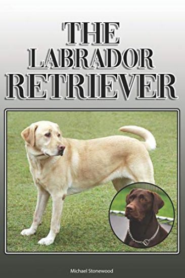 The Labrador Retriever: A Complete and Comprehensive Owners Guide to: Buying, Owning, Health, Grooming, Training, Obedience, Understanding and