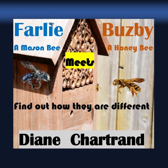 Farlie A Mason Bee Meets Buzby A Honey Bee