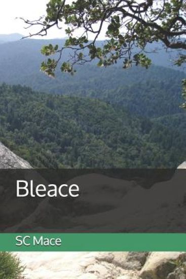 Bleace: Find Yours