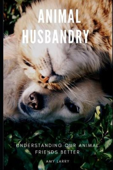 Animal Husbandry: Understanding Our Animal Friends Better