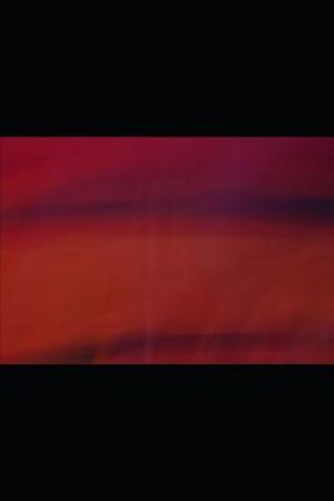 F.E.L.P.A.: Fragmentos, Escritos, Letras, Poemas, Alabanzas.