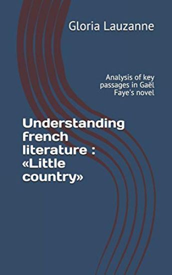 Understanding french literature
