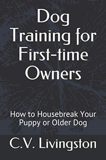 Dog Training for First-time Owners