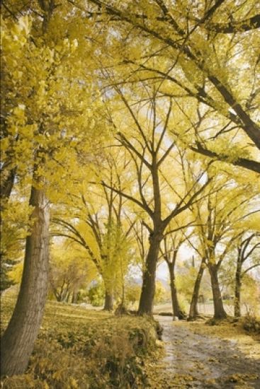 Kansikuva: A história de Anne: O que a dor da rejeição é capaz de fazer com um ser humano