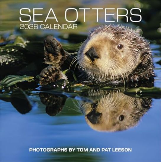 Sea Otters: Photographs by Tom and Pat Leeson 2026 Wall Calendar