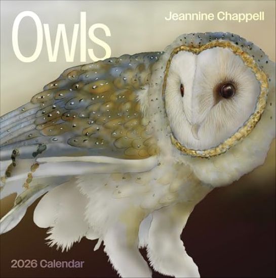 Owls: Jeannine Chappell 2026 Wall Calendar