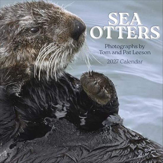 Sea Otters: Photographs by Tom and Pat Leeson 2027 Wall Calendar
